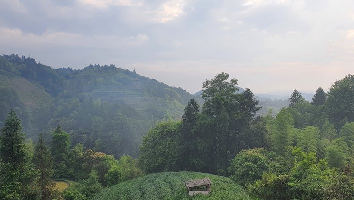 Blick von der Hotelanlage aus