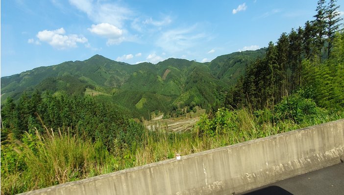 Landschaft