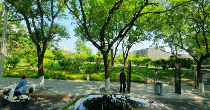 Gruene Strassen in Peking